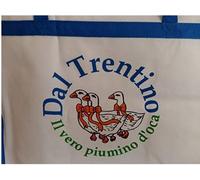 Offerta Imperdibile : Piumino Piazza e mezza in piuma d' oca CORTINA mis 200X200 Composizione : 50% Piumino - 50% Piuma d'oca - Piumini - Affarone - Qualità e convenienza in un unico prodotto !