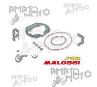 OFFERTA KIT GUARNIZIONI COMPLETE PER GRUPPO TERMICO 50 DERBI D MALOSSI 1112982