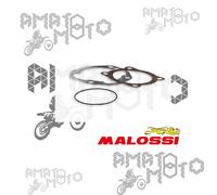 OFFERTA MALOSSI SERIE GUARNIZIONI BI-CILINDRO 3115423 Ø 70 per YAMAHA TMAX T MAX