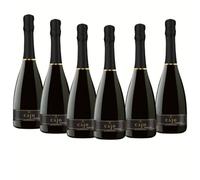 OFFERTA SPECIALE | Spumante Extra Dry Millesimato, da Uva Glera, Gusto Fresco con Note Fruttate, 6x750 ml