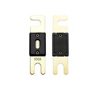 Offgridtec 100 A 72 V ANL fusibile DIN43560/1, set da 5 pezzi