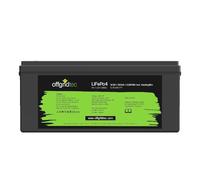 Offgridtec Batteria LifePO4 12/300 12,8 V 304 Ah con BMS e tappetino riscaldante 3840 Wh