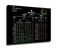 Office and Studio Wall Art - Algorithm Complexity Reference Chart on Canvas - Programming Guide for Developer Space(Unframed,16x24inch(40x60cm))