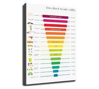 Office Safety Wall Art Noise Decibel Level Chart Canvas Print for Workshop Educational Poster(Framed,16x24inch(40x60cm))