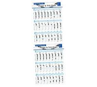 OFFSCH 2pezzi Bass Recorder Finger Chart Per Principianti Guida Pratica Per Chord e Tecniche Di Flauto Poster Informativo Per Strumento Per Studio e Riferimento Veloce