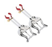 OFFSCH Clip Spartiti Musicali Per Clarinetto 2 Pezzi in Ferro, Morsetti Portafogli Leggeri e Portatili Per Lira Da Marcia, Supporto Piccolo Per Note, Per Esibizioni All'aperto