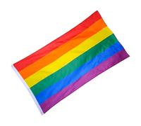 OFFSCH Rainbow Poliestere Banner Lgbt Pride Resistente per Ed Esterno Colori Vivaci e Sbiadimento Ridotto Orgoglio e Movimenti Sociali
