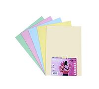 OFITURIA FAB-16248 Pack 100 Hojas Colores Suaves Tamaño A3 80g
