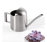 OFKPO Mini Fiore Annaffiatoio in Acciaio Inox per Piante di Piccole Dimensioni (Argento)