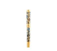 OFWAX City Light Hollow Gift Business Pen Pistone inchiostro assorbente resina trasparente manica interna penna scrittura (A3, F)