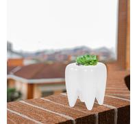 Oggettistica Per La Casa Contenitore Pentole Graziosi Vasi Piante Decorazioni