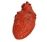 Oggetto di Scena per Il Cuore Insanguinato - Oggetto di Scena per Il Cuore di Halloween | Oggetti di Scena Spettrali di Halloween con Cuore Battente | Cuore Finto, Decorazioni per La Casa Stregata,
