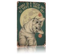 Oggi è un bel giorno per trascorrere una splendida giornata, cartello in metallo vintage, decorazione da parete per la casa, per camera da letto, soggiorno, bar, ristoranti, ecc., targa da 12 x 8 poll