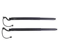 OGJFD Pistoni A Gas Cofano Bagagliaio 90561-5AA0A 90561-5AA0B 90561-5AA1A Coppia di Supporti per Portellone Posteriore Sinistro E Destro per Nissan per Murano 3.5L 2015-2019 Pistoncini Ammortizzatori