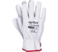 Ogrifox OX-DRIX_W10 Guanti in Pelle, Guanti Protettivi, Guanti da Lavoro, Guanti Antinfortunistici Ox. 18.382, Bianco, Taglia 10, 120 paia