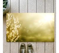 OHJEAJDS Tappeto Bagno - Tappeto multiuso antiscivolo per ingresso,cucina,camera,bagno,Soffice Tappeto Doccia,Decorazione autunnale, alba sul prato autunnale, campo d'erba, vista panoramic,60x100cm