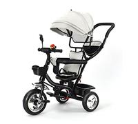 OHMG Triciclo per bambini evolutivo, canna e parasole, pieghevole, borsa e cestino in acciaio, per bambini evolutivo, bicicletta, accessori, fino a 5 anni (Grigio)