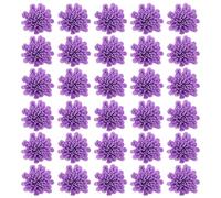 OHPHCALL 100 Pezzi Fiori di Crisantemo PE Diffusori di Fragranza Porpora