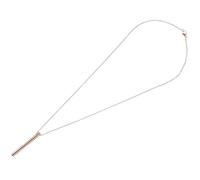 OHPHCALL Ciondolo Cinerario in Lega di Titanio Spazio per Ceneri Collana Profumata Rosa Oro per Commemorazione Portacenere Decorativo da Donna Gioiello Memoriale Sicuro e Confortevole