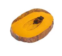 OHPHCALL Ciondolo Esemplare in Ambra Artificiale Insetti, 1 Pezzo | Ambroid per Forma Unica e Decorazione Regalo Giallo Amici e Famiglia
