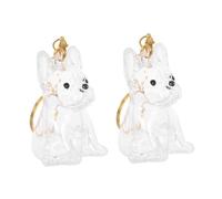 OHPHCALL Portachiavi Commemorativo 2 Pezzi Capsula Trasparente, Piccolo Contenitore per Peli di Cane, Regalo per Amanti di Animali Domestici in Viaggio
