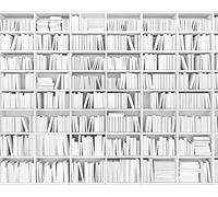 OhPopsi Library Wall Grande murale con Biblioteca, Carta, Multicolore, 56.5x10x10 cm
