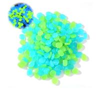 OHREN 100 Pezzi Pietre Fluorescenti in Resina, Brillano al Buio Ciottoli Decorativi, Mini Pietre Decorative per Giardino, Sentieri, Vasi di Piante, Acquario (Blu e Verde)