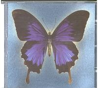 Oi Va Voi - Laughter Through Tears