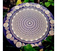 oiakus Disco EMFS Tesla Polarizing Disk, Oscillatore Multi-Onda Tesla Coil, Energizzazione dell'Acqua E Bilanciamento Armonico, Diametro 12,8 Cm, per Yoga, Meditazione, Decorazioni per La Casa