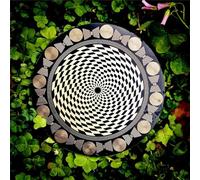 oiakus Disco EMFS Tesla Polarizing Disk, Oscillatore Multi-Onda Tesla Coil, Energizzazione dell'Acqua E Bilanciamento Armonico, Diametro 12,8 Cm, per Yoga, Meditazione, Decorazioni per La Casa