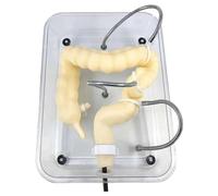 oiakus Modello di Esame di Colonscopia, Modello di Colon Medico, Modello di Addestramento Virtuale Morbido di Colonscopia, Regolazione della Difficoltà di Addestramento E Struttura Interna Chiara