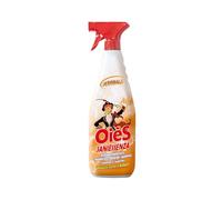 OièS Saniessenza Detergente Profumato 750 ml - Profumatore Ambiente 5 in 1 Spray Igienizzante Multiuso per Pavimenti e Superfici - Profuma, Igienizza, Deodorizza, Deterge e Spolvera - Ambra