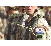Oif Elite Warrior Iraq Guerra Trofeo Collection Force Bandiera Toppa : Corea Da