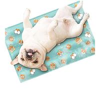 OIFAODAO Il Letto dei Cani, for Cani e Gatti, Letto Comfort Cool Matt for cucce Letti, Ideale for nella Calda Estate(Green,S)