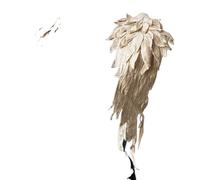OIFAODAO, Ricamo Ala d'Angelo Applique Cucito Colletto Fiore Patch for Abito da Festa di Nozze Abito da Sposa Vestiti Artigianato Fai da Te,Toppe da Cucire(OneColor)