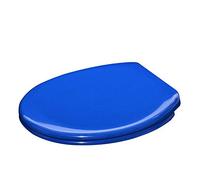 OIFAODAO, Sedile WC Copriwater Tipo O con Imbottitura Coperchio in Resina urea-formaldeide,Sedile per WC(Blu)