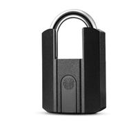 Oiqippnbv Serratura astuta chiave IP67 'impronta digitale, ricaricabile di USB con il sostegno chiave, APP di BT TTLock/accesso 'impronta digitale