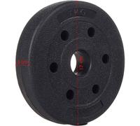 OISE ART STORE Trade Shop - Coppia Dischi Dummbell Pesi Disco per Bilanciere Manubri da 1 kg Bodybuilding