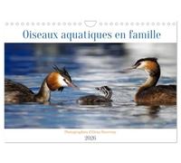 Oiseaux aquatiques en famille (Calendrier mural 2026 DIN A4 vertical), CALVENDO calendrier mensuel: Oiseaux aquatiques avec leur progéniture au quotidien