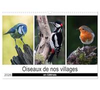 Oiseaux de nos villages en Gâtinais (Calendrier mural 2026 DIN A3 vertical), CALVENDO calendrier mensuel: Photographies d'oiseaux que l'on peut voir en France