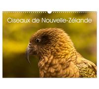 Oiseaux de Nouvelle-Zélande (Calendrier mural 2026 DIN A3 vertical), CALVENDO calendrier mensuel: Photographies d'oiseaux de Nouvelle - Zélande