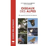 Oiseaux des Alpes: Où, quand et comment les observer