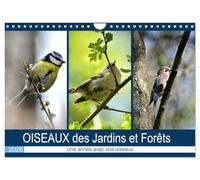 OISEAUX des Jardins et Forêts (Calendrier mural 2026 DIN A4 vertical), CALVENDO calendrier mensuel: Différentes rencontres avec nos amis à plumes