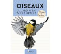 Oiseaux du jardin en taille réelle: Photos à l'échelle