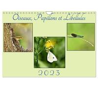 Oiseaux, Papillons et Libellules (Calendrier mural 2026 DIN A4 vertical), CALVENDO calendrier mensuel: Une année en compagnie de petits êtres de la nature