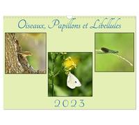 Oiseaux, Papillons et Libellules (Calendrier mural 2027 DIN A3 vertical), CALVEN