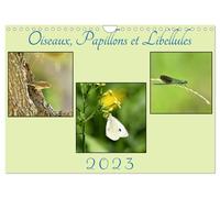 Oiseaux, Papillons et Libellules (Calendrier mural 2027 DIN A4 vertical), CALVEN