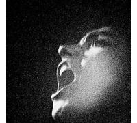 Oiseaux Tempete - Al An