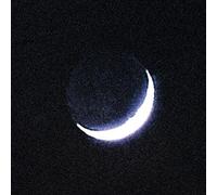 Oiseaux Tempete - Tarab