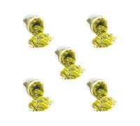OJREEUB 5 set di Flock Scenery Materiali Scenario FAI DA TE per la Costruzione Micro Paesaggio Erba verde, 65x65mm